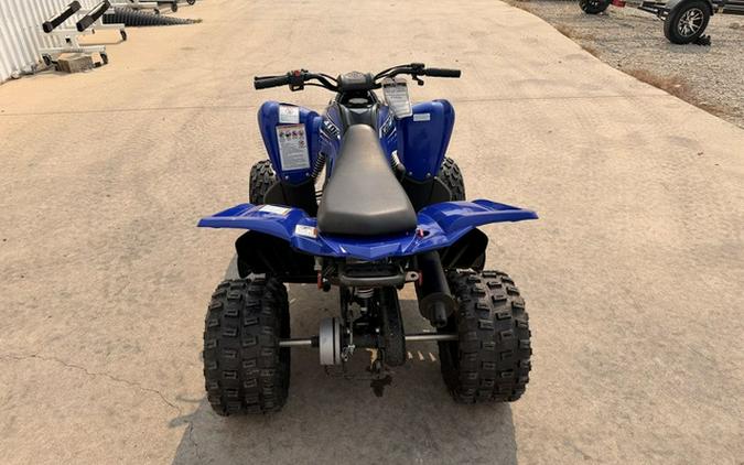 2026 Yamaha Raptor 110