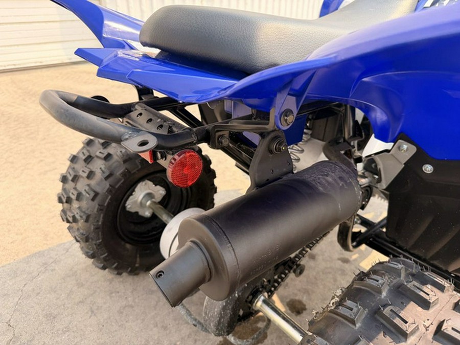 2026 Yamaha Raptor 110