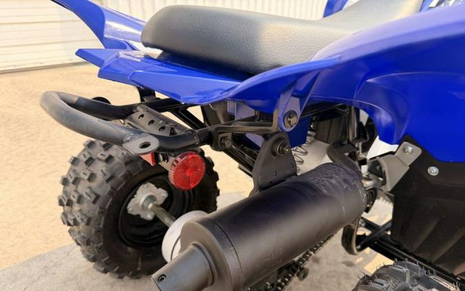 2026 Yamaha Raptor 110
