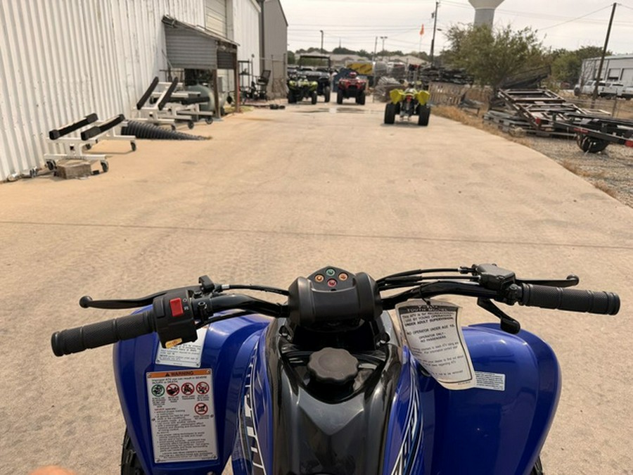 2026 Yamaha Raptor 110
