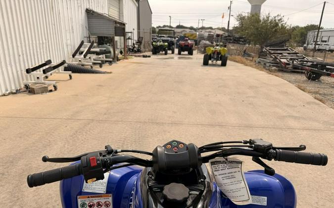 2026 Yamaha Raptor 110