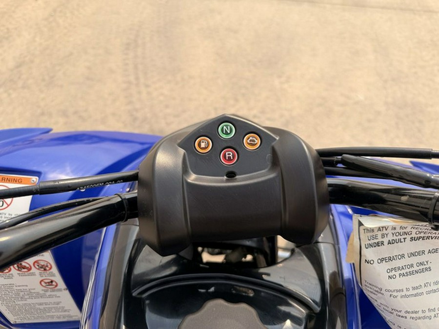 2026 Yamaha Raptor 110