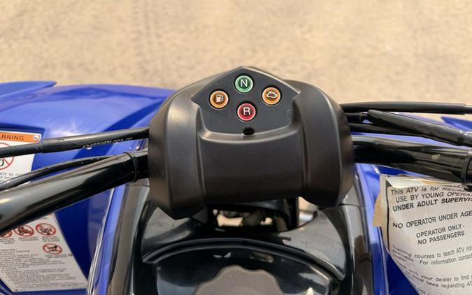 2026 Yamaha Raptor 110