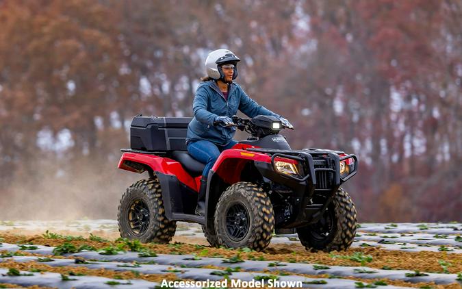 2026 Honda FourTrax Rubicon 700 4x4 Automatic