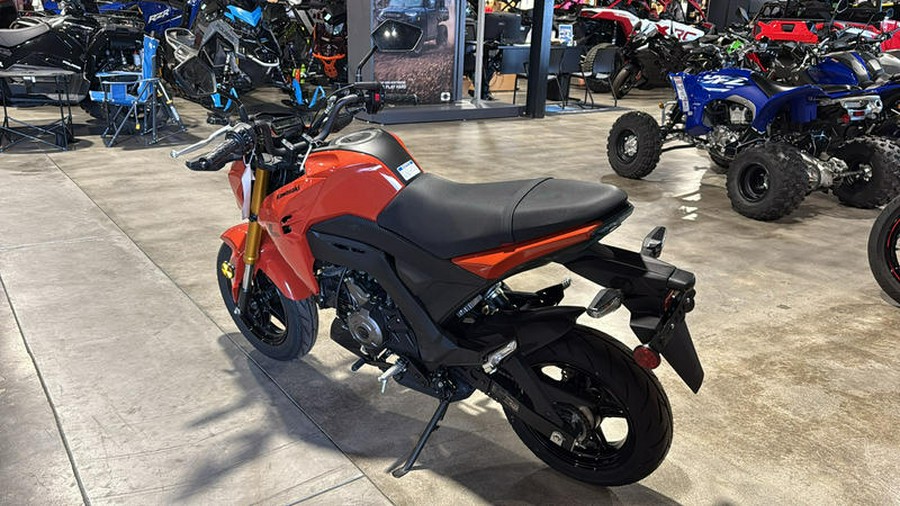 2025 Kawasaki Z125 PRO