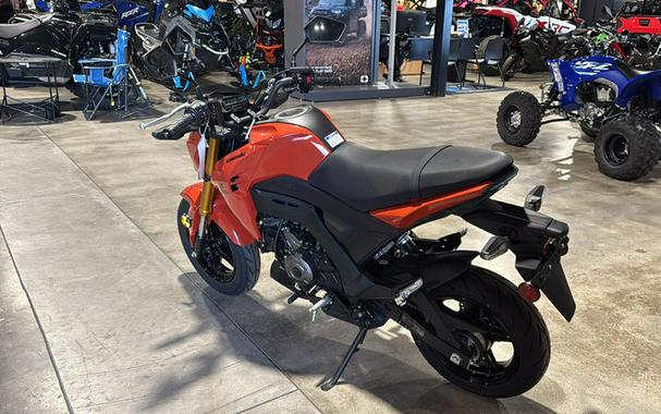 2025 Kawasaki Z125 PRO