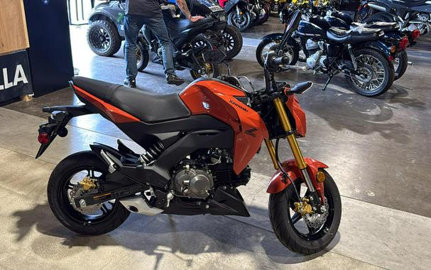 2025 Kawasaki Z125 PRO