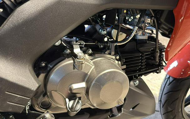 2025 Kawasaki Z125 PRO