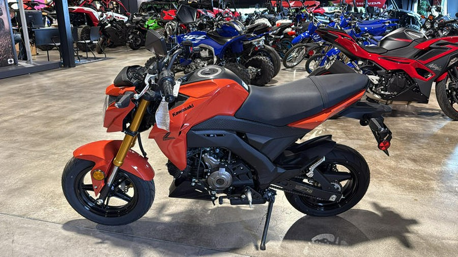 2025 Kawasaki Z125 PRO