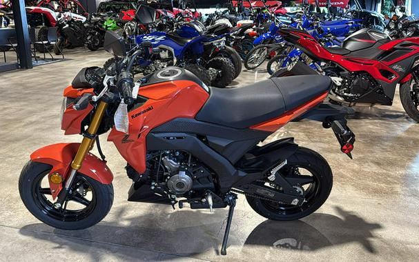 2025 Kawasaki Z125 PRO