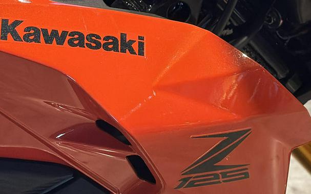 2025 Kawasaki Z125 PRO