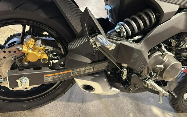 2025 Kawasaki Z125 PRO