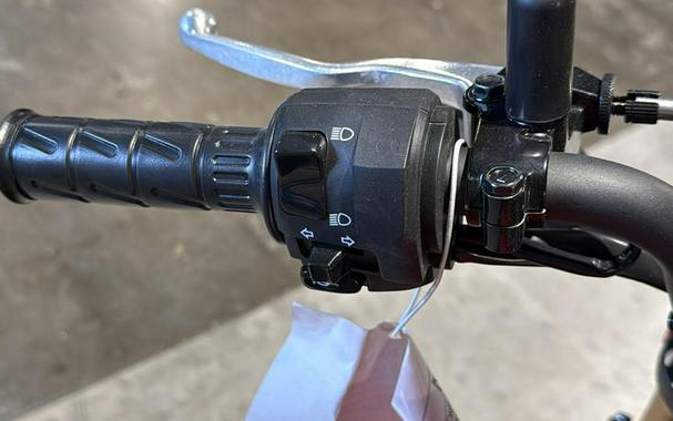 2025 Kawasaki Z125 PRO