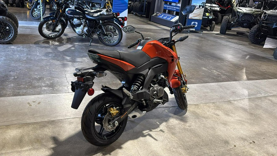 2025 Kawasaki Z125 PRO