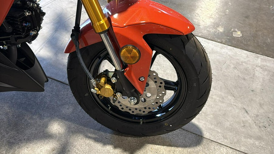 2025 Kawasaki Z125 PRO