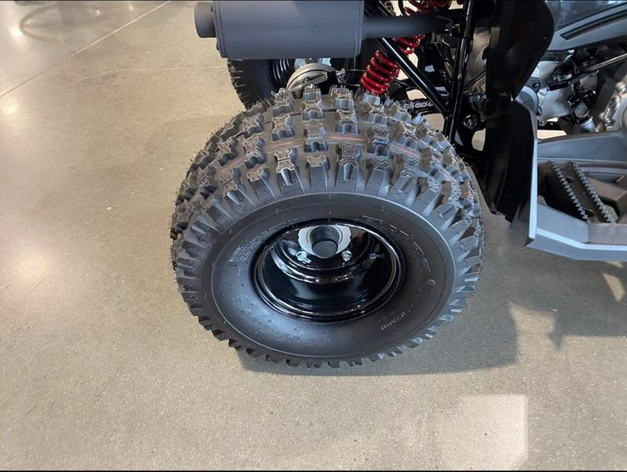 2026 Can-Am® Renegade 110 EFI