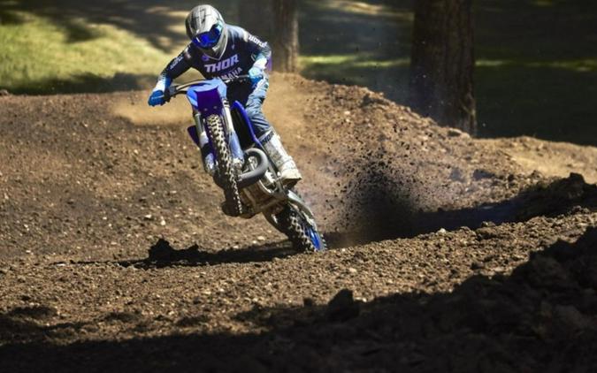 2024 Yamaha YZ 250 Team Yamaha Blue