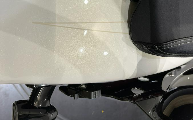 2019 Harley-Davidson Breakout® 114