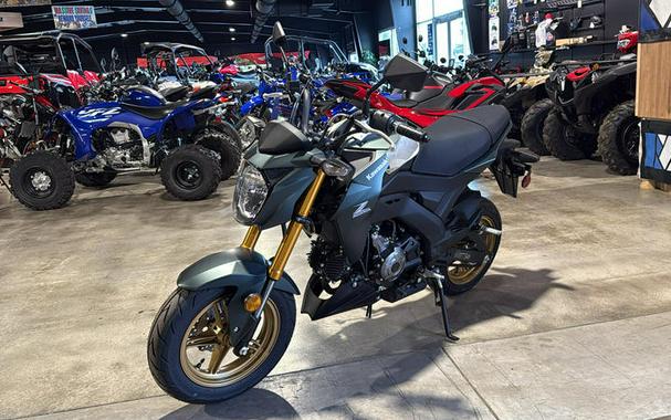 2025 Kawasaki Z125 PRO
