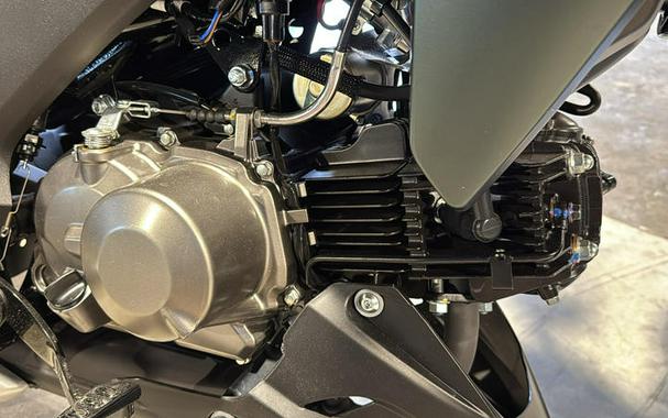 2025 Kawasaki Z125 PRO