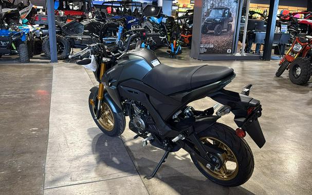 2025 Kawasaki Z125 PRO
