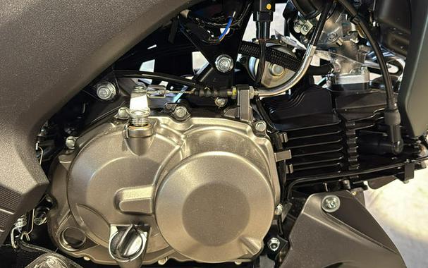 2025 Kawasaki Z125 PRO