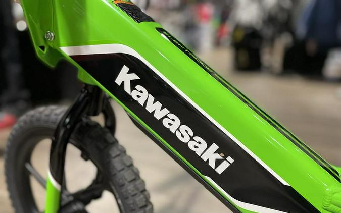 2023 Kawasaki Elektrode™