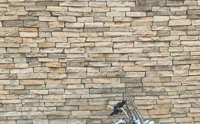 2024 Harley-Davidson Heritage Classic 114