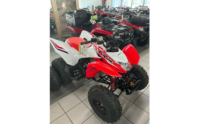 2024 Honda TRX250X