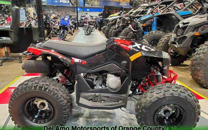 2024 Can-am RENEGADE X XC 110