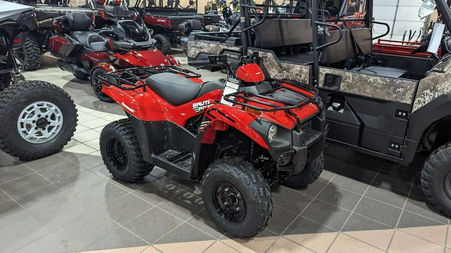 New 2024 KAWASAKI BRUTE FORCE 300