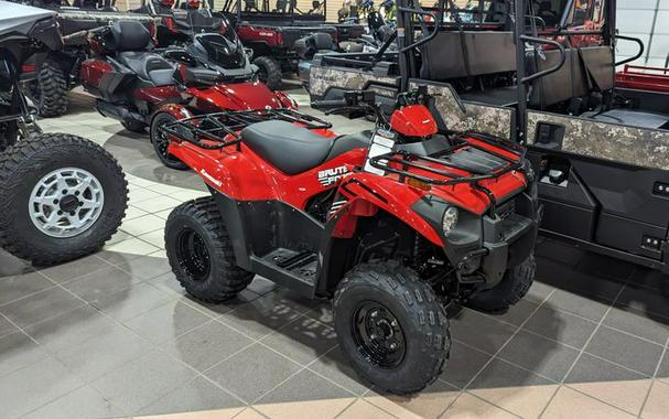 New 2024 KAWASAKI BRUTE FORCE 300