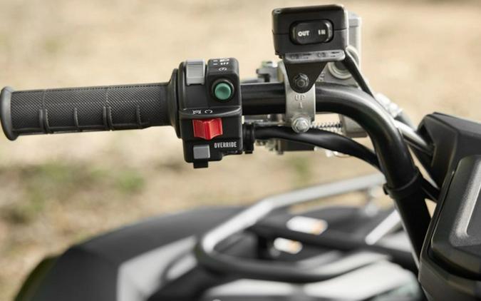 2026 Yamaha Grizzly EPS XT-R
