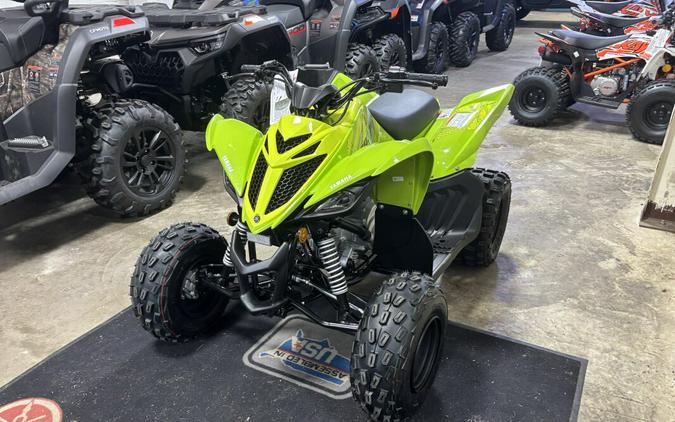 2026 Raptor 110