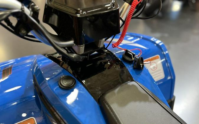 2026 Denago Powersports E-Hawk 6