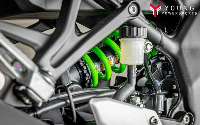 2026 Kawasaki Ninja ZX-4RR ABS