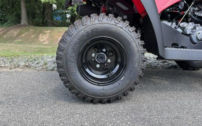 2026 Kawasaki Brute Force 300