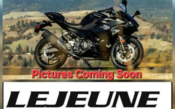 2026 Kawasaki Ninja® 500 Metallic Flat Spark Black