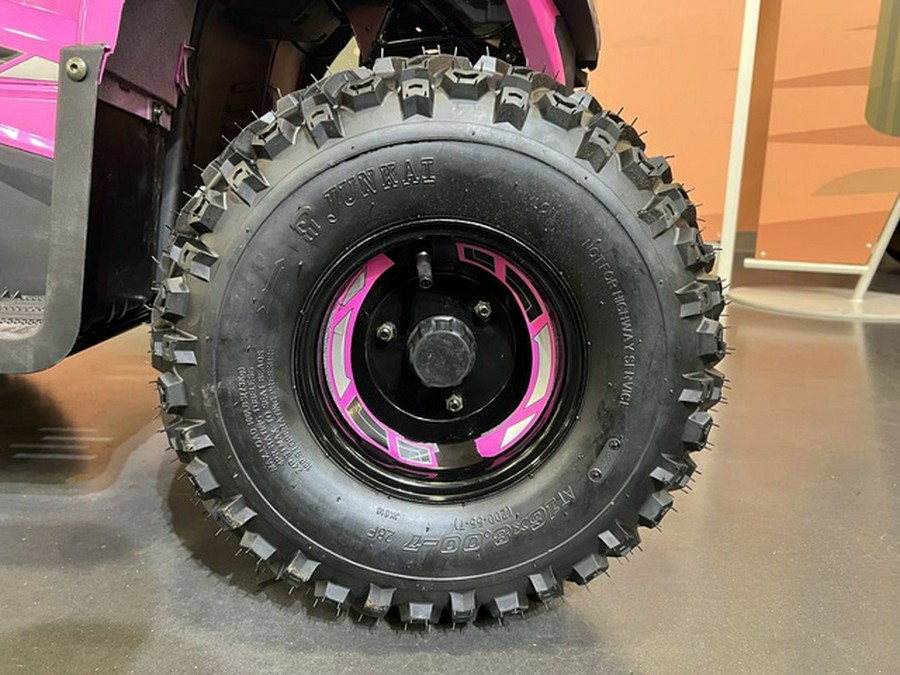 2026 Denago Powersports E-Hawk 6