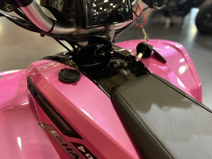 2026 Denago Powersports E-Hawk 6