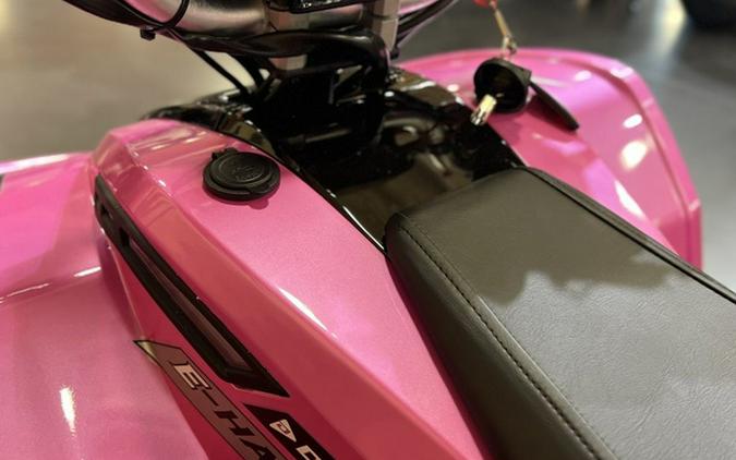 2026 Denago Powersports E-Hawk 6