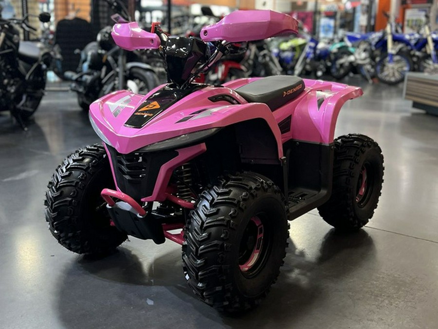 2026 Denago Powersports E-Hawk 6
