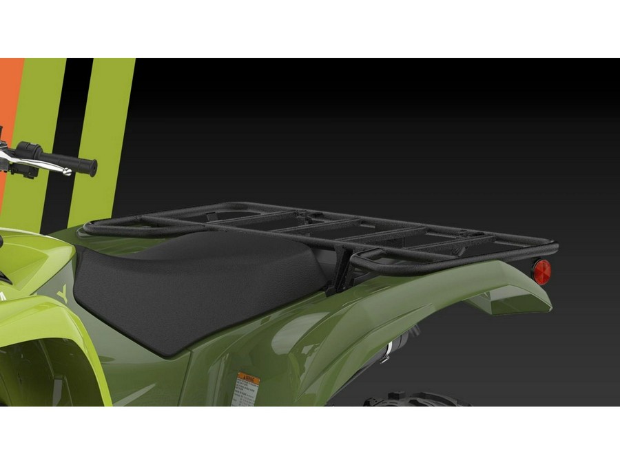 2026 Yamaha Grizzly EPS