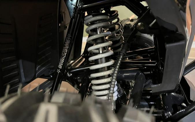 2026 Denago Powersports E-Hawk 6