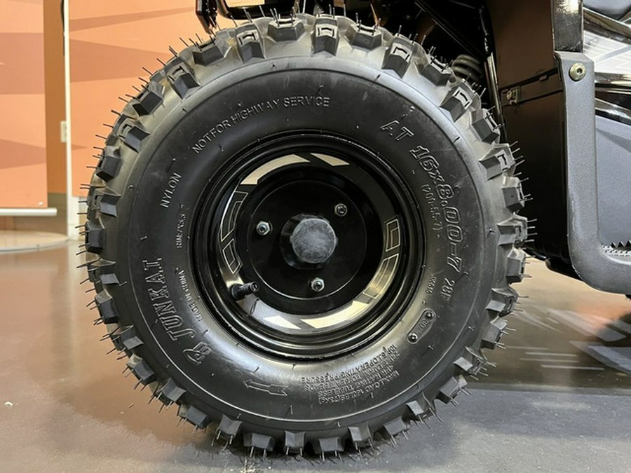 2026 Denago Powersports E-Hawk 6