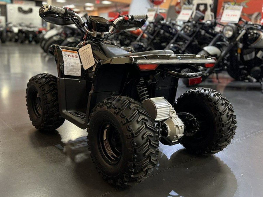2026 Denago Powersports E-Hawk 6