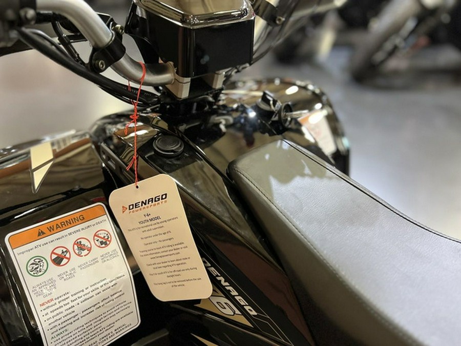2026 Denago Powersports E-Hawk 6