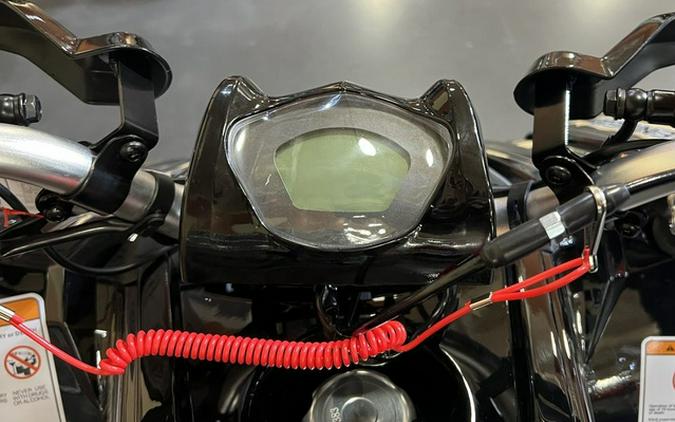 2026 Denago Powersports Trailhawk 10FI