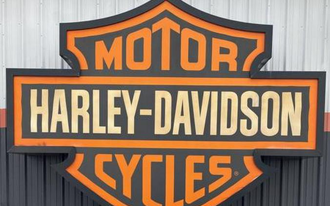 2022 Harley-Davidson Low Rider ST Review [A Dozen Fast Facts]