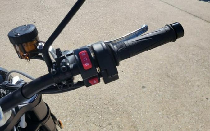 2025 Triumph Scrambler 1200 X Ash Grey X